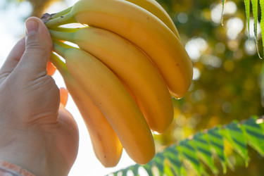 Similar image 22176379