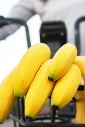 Similar image 22176382