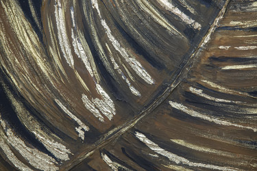 Similar image 22175904