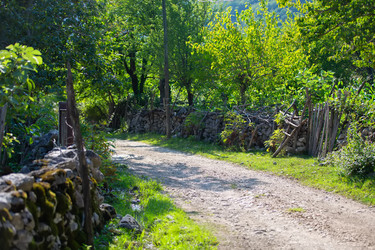 Similar image 22175909