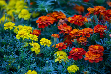 Similar image 22176235