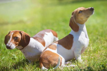 Similar image 22176237