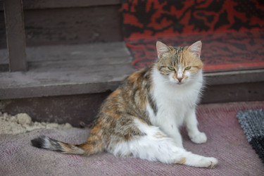 Similar image 22176241