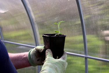 Similar image 22179236