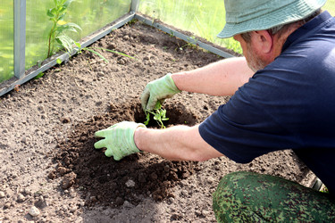 Similar image 22194125