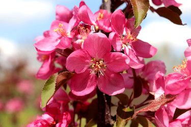 Similar image 22179237