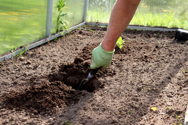 Similar image 22194126