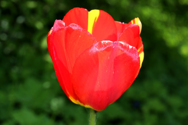 Similar image 22179238