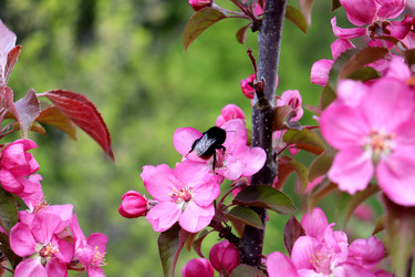 Similar image 22188472