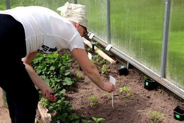 Similar image 22179239