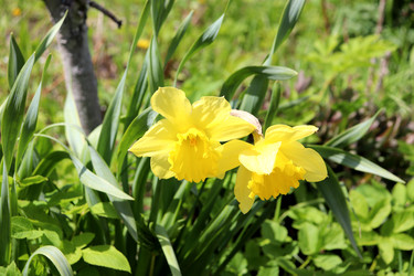 Similar image 22179240