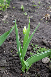 Similar image 22188474