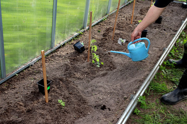 Similar image 22180805