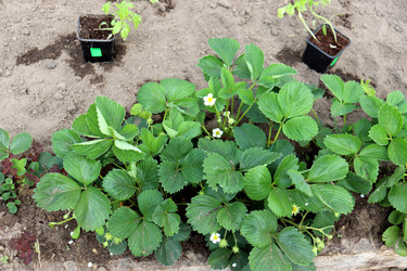 Similar image 22188475