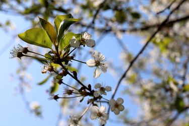 Similar image 22180806