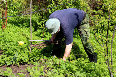 Similar image 22194127