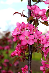 Similar image 22188476