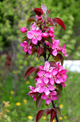 Similar image 22180807