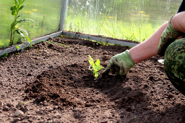 Similar image 22180809