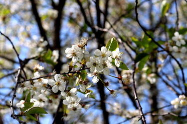 Similar image 22188477