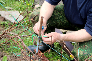 Similar image 22180810