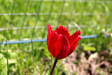 Similar image 22194128