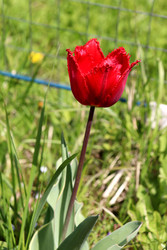 Similar image 22180811