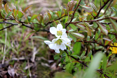 Similar image 22180812