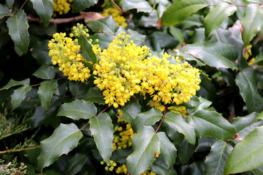 Similar image 22180813