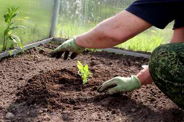 Similar image 22188478