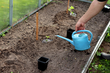 Similar image 22188479