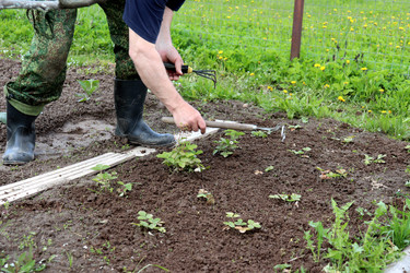 Similar image 22188480