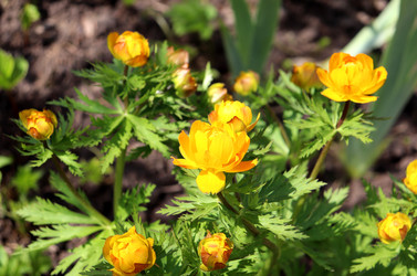 Similar image 22188482