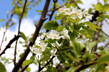 Similar image 22188483