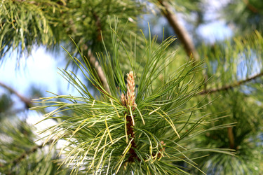 Similar image 22188484