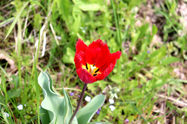 Similar image 22188486