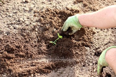 Similar image 22171999