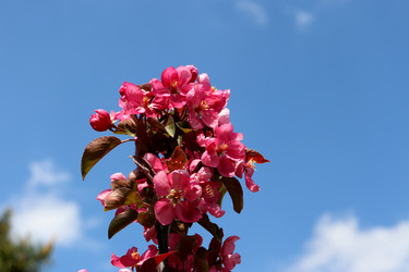 Similar image 22173930