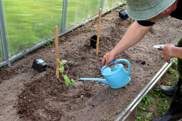 Similar image 22173931