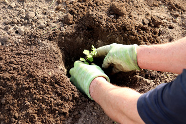 Similar image 22173933