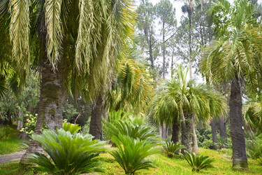 Similar image 22176394