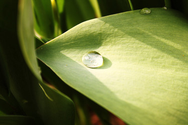 Similar image 22172621