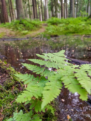 Similar image 22171228