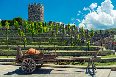 Similar image 22169764