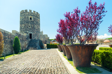 Similar image 22169800