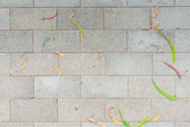 Similar image 22169803