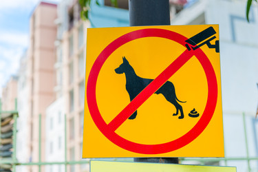 Similar image 22169823