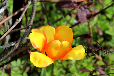 Similar image 22194130