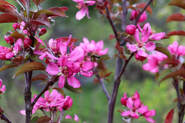 Similar image 22172001