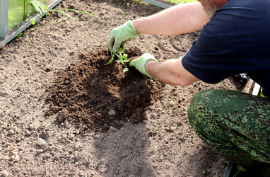 Similar image 22179244